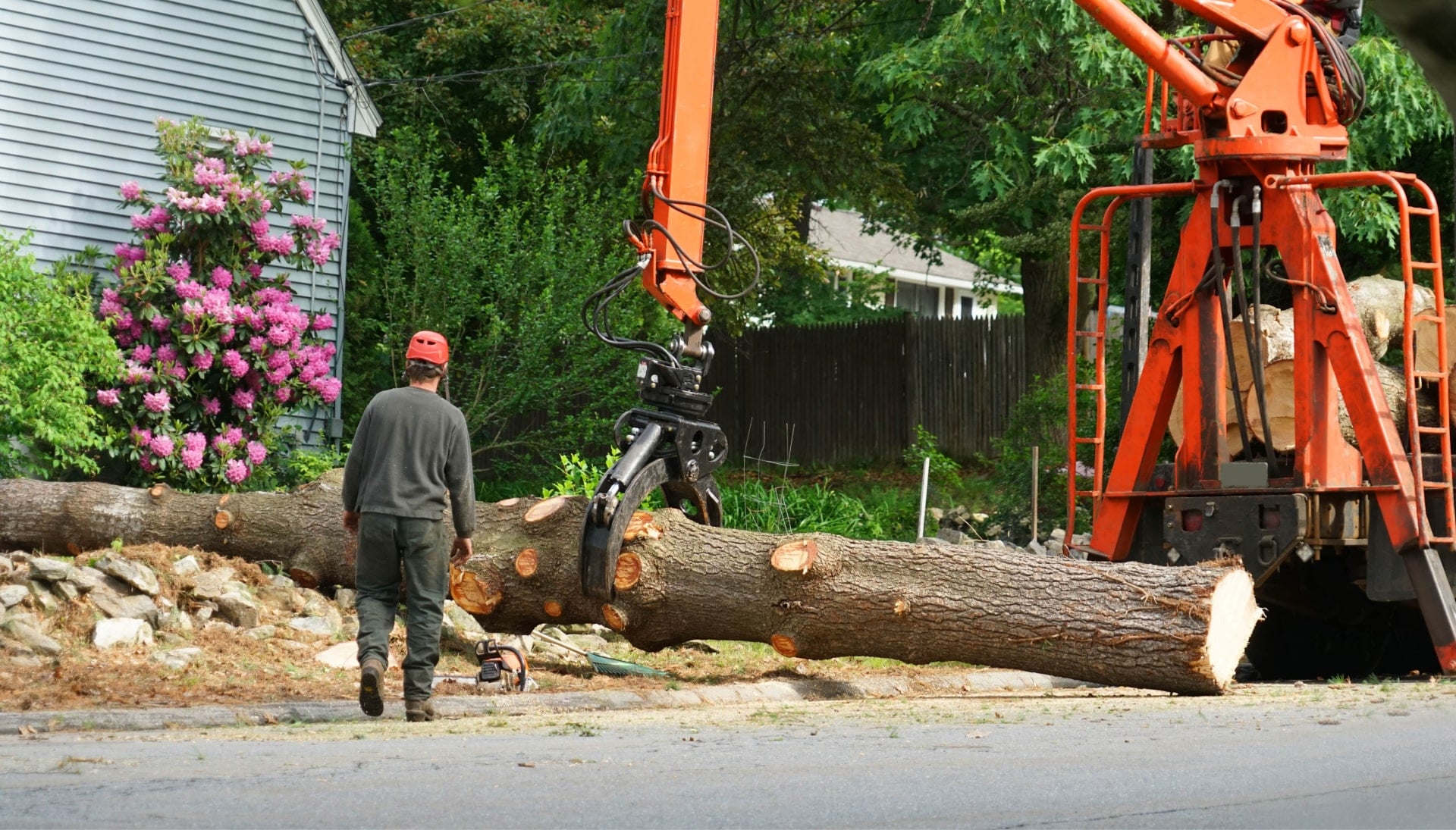 Heavy machinery is used to remove a tree after cutting in a Attleboro, MA yard.
