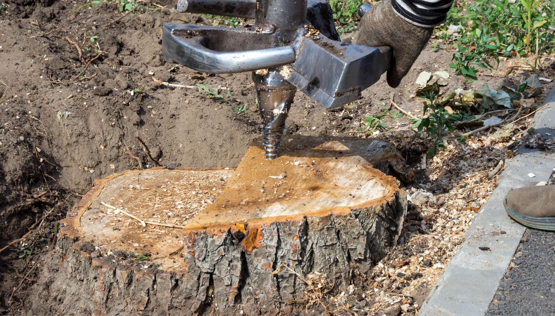 A stump grinding machines makes the job easier during tree removal services on a Attleboro, MA property.